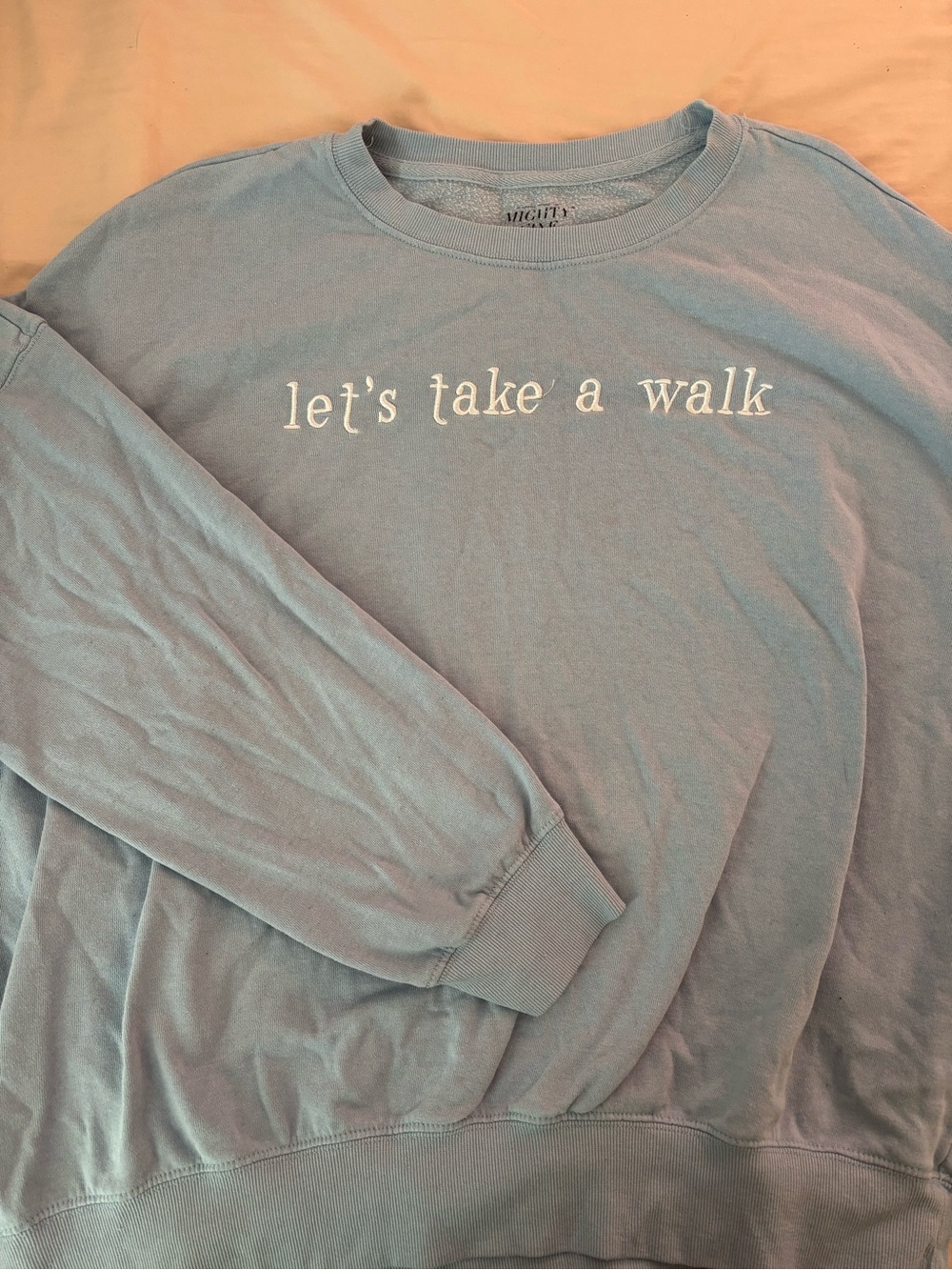 "let's take a walk" Light Blue Crewneck Sweatshirt